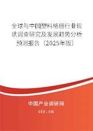 全球與中國塑料格柵行業現狀調查研究及發展趨勢分析預測報告（2025年版）