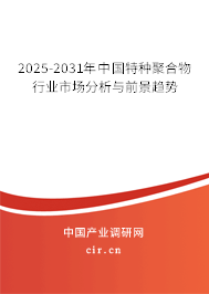 2024-2030年中國特種聚合物行業市場分析與前景趨勢