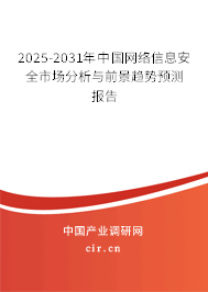 2025-2031年中國網絡信息安全市場分析與前景趨勢預測報告