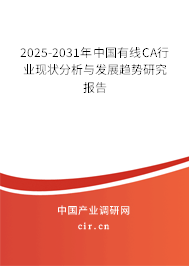 2025-2031年中國有線CA行業現狀分析與發展趨勢研究報告