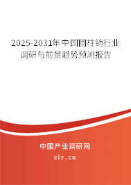 2025-2031年中國圓柱銷行業調研與前景趨勢預測報告