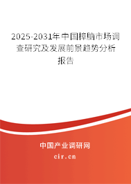 2025-2031年中國樟腦市場調查研究及發展前景趨勢分析報告