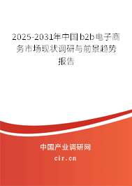 2025-2031年中國b2b電子商務市場現狀調研與前景趨勢報告