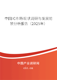 中國IC市場現狀調研與發展前景分析報告（2025年）