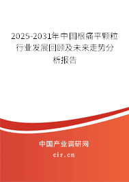 2025-2031年中國根痛平顆粒行業發展回顧及未來走勢分析報告