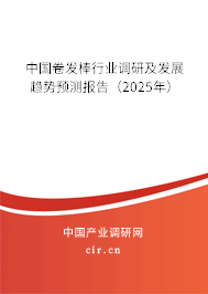 中國卷發棒行業調研及發展趨勢預測報告（2024年）