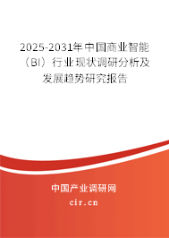 2025-2031年中國商業智能（BI）行業現狀調研分析及發展趨勢研究報告