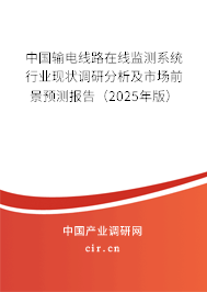 中國輸電線路在線監(jiān)測(cè)系統(tǒng)行業(yè)現(xiàn)狀調(diào)研分析及市場前景預(yù)測(cè)報(bào)告（2025年版）
