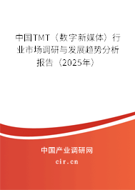 中國TMT（數字新媒體）行業市場調研與發展趨勢分析報告（2025年）