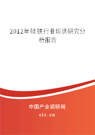 2012年硅鐵行業現狀研究分析報告