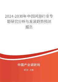 2023-2029年中國鴻源行業專題研究分析與發展趨勢預測報告