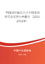 中國減輪胎壓力計市場發展研究及前景分析報告（2025-2031年）