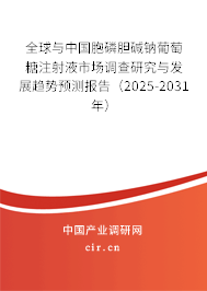 全球與中國胞磷膽堿鈉葡萄糖注射液市場調查研究與發展趨勢預測報告（2025-2031年）