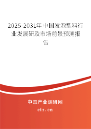 2025-2031年中國發泡塑料行業發展研及市場前景預測報告