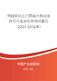 中國非標(biāo)壓力容器市場調(diào)查研究與發(fā)展前景預(yù)測報(bào)告（2025-2031年）