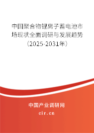 中國(guó)聚合物鋰離子蓄電池市場(chǎng)現(xiàn)狀全面調(diào)研與發(fā)展趨勢(shì)（2025-2031年）