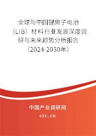 全球與中國鋰離子電池（LIB）材料行業發展深度調研與未來趨勢分析報告（2024-2030年）