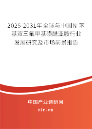 2025-2031年全球與中國(guó)N-苯基雙三氟甲基磺酰亞胺行業(yè)發(fā)展研究及市場(chǎng)前景報(bào)告