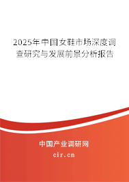 （最新）中國女鞋市場深度調查研究與發展前景分析報告