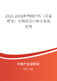 2025-2031年中國PPA（高溫尼龍）市場研究分析與發展前景