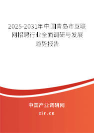 2025-2031年中國青島市互聯網招聘行業全面調研與發展趨勢報告