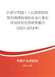 全球與中國十二烷基硫酸鈉-聚丙烯酰胺凝膠電泳行業現狀調研及前景趨勢報告（2025-2031年）