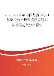 2025-2031年中國數據中心IT基礎設施市場深度調查研究與發展前景分析報告