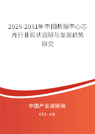 2024-2030年中國(guó)數(shù)據(jù)中心芯片行業(yè)現(xiàn)狀調(diào)研與發(fā)展趨勢(shì)研究