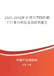 2025-2031年全球與中國外拍燈行業分析及發展趨勢報告