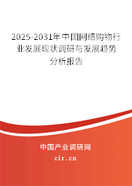 2025-2031年中國網絡購物行業發展現狀調研與發展趨勢分析報告