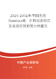 2025-2031年中國(guó)無線（femtocell）市場(chǎng)調(diào)查研究及發(fā)展前景趨勢(shì)分析報(bào)告