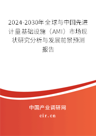 2024-2030年全球與中國先進(jìn)計(jì)量基礎(chǔ)設(shè)施（AMI）市場現(xiàn)狀研究分析與發(fā)展前景預(yù)測報(bào)告