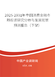 2025-2031年中國消費金融市場現狀研究分析與發展前景預測報告（下架）