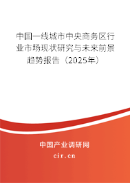 中國一線城市中央商務區(qū)行業(yè)市場現狀研究與未來前景趨勢報告（2025年）