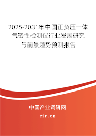 2025-2031年中國正負壓一體氣密性檢測儀行業發展研究與前景趨勢預測報告