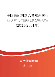 中國智能機器人客服系統(tǒng)行業(yè)現(xiàn)狀與發(fā)展前景分析報告（2025-2031年）