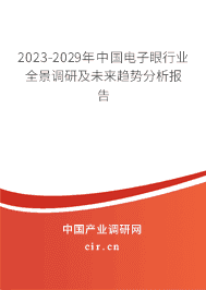2023-2029年中國電子眼行業全景調研及未來趨勢分析報告