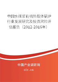 中國水煤漿有機熱載體鍋爐行業發展研究及投資風險評估報告（2012-2016年）