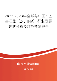 2022-2028年全球與中國2-乙基己酯（2-EHMA）行業發展現狀分析及趨勢預測報告