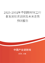 2025-2031年中國鞋材化工行業(yè)發(fā)展現(xiàn)狀調(diào)研及未來走勢預(yù)測報告