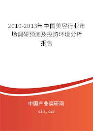 2010-2013年中國美容行業市場調研預測及投資環境分析報告