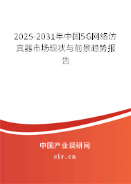 2025-2031年中國5G網絡仿真器市場現狀與前景趨勢報告