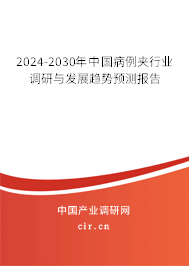 2024-2030年中國病例夾行業調研與發展趨勢預測報告