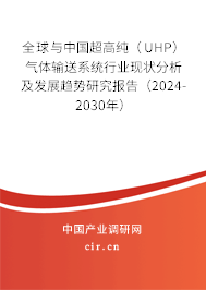 全球與中國超高純（UHP）氣體輸送系統行業現狀分析及發展趨勢研究報告（2024-2030年）
