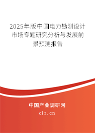 2025年版中國電力勘測設計市場專題研究分析與發展前景預測報告