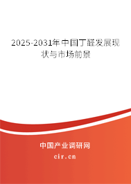 2025-2031年中國(guó)丁醛發(fā)展現(xiàn)狀與市場(chǎng)前景