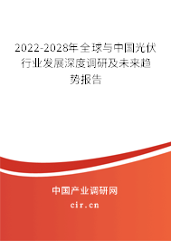 2022-2028年全球與中國光伏行業發展深度調研及未來趨勢報告