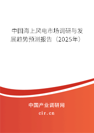 中國海上風電市場調研與發展趨勢預測報告（2025年）
