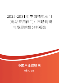 2023-2029年中國核電閥門（電站專用閥門）市場調研與發展前景分析報告