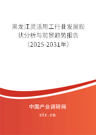 黑龍江靈活用工行業發展現狀分析與前景趨勢報告（2025-2031年）